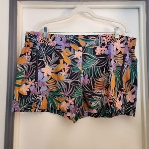 NWT Reel Legends 1X Women's Stretch Shorts